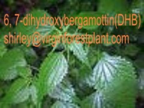 6, 7-Dihydroxybergamottin(Dhb)(Shirley At Virginforestplant Dot Com)